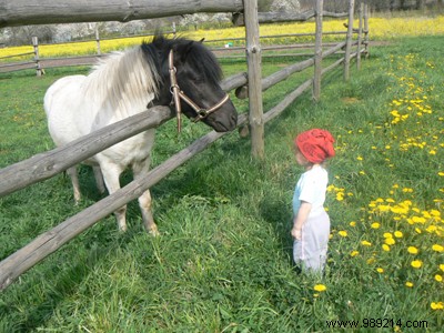 Pony Riding for Young Children: Safety, Benefits, and Getting Started