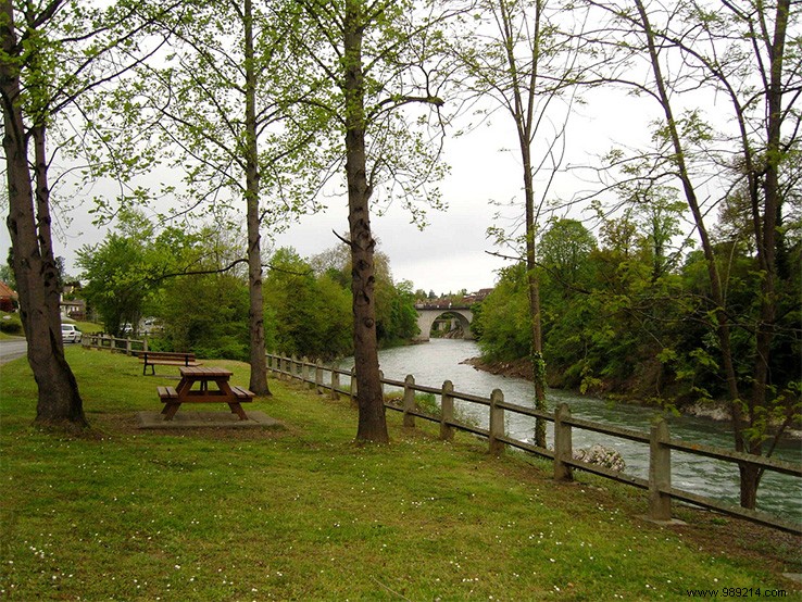 Family Picnics in the Woods: Escaping City Pollution for Healthier Kids