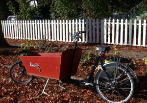 Why Our Family Switched to a Cargo Bike: Practical Tips from Real Experience