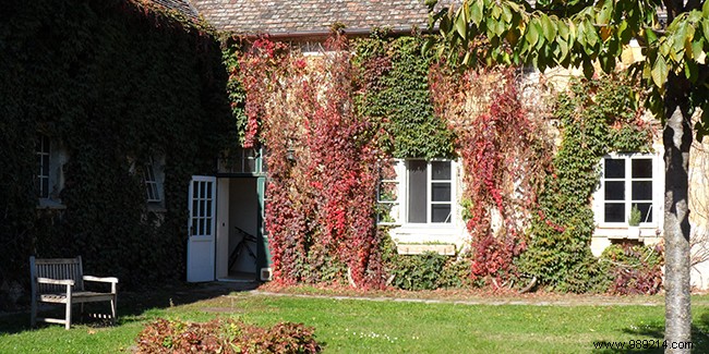 Life Annuities for Seniors: Essential Guide to Definitions, Benefits, and Considerations