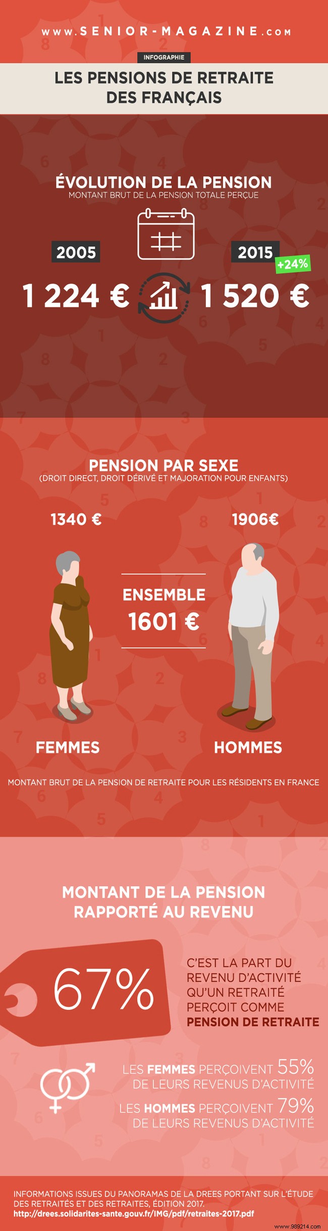 French Retirement Pensions Infographic: Key Insights from DREES 2017 Report