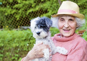 Proven Benefits of Pets for Seniors: Combating Loneliness, Boosting Health, and Enhancing Well-Being