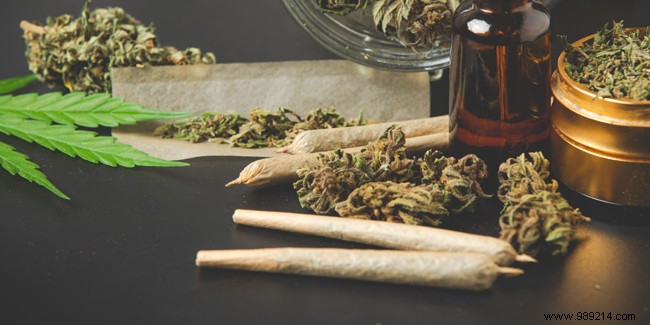 Cannabis Use Among Seniors: A Growing Reality and Potential Health Benefits