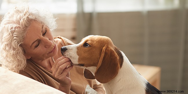 Adopting a Pet as a Senior: Key Benefits and Practical Considerations