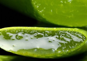 Aloe Vera Health Benefits: Evidence-Based Uses for Skin, Digestion, and Wellness