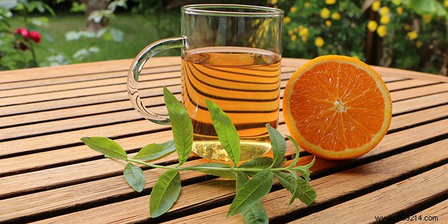 Unlocking Verbena s Health Benefits: A Trusted Herbal Remedy for Digestion, Stress, and Pain Relief