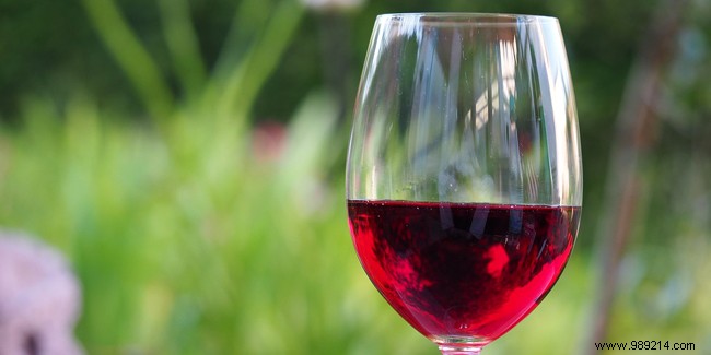 Does a Glass of Red Wine a Day Promote Longevity? Myth or Reality?