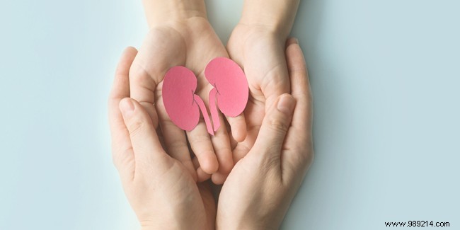 Organ Donation in France: Age Limits and Contraindications Explained