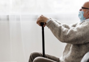 Germany s Elderly Care System: Comprehensive Support for Dependent Individuals