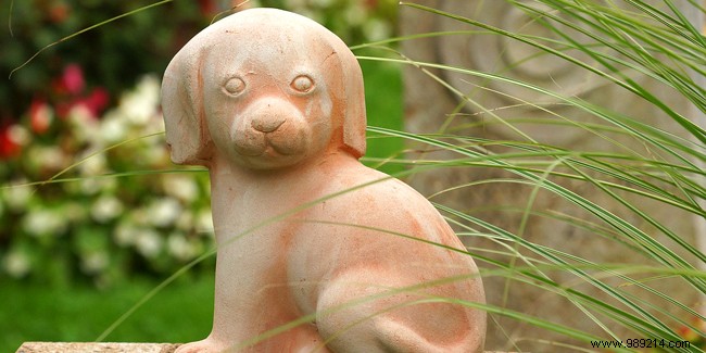 What to Do After Your Pet s Death: Legal Burial and Cremation Options in France