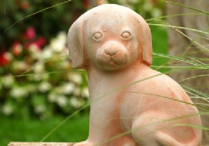 What to Do After Your Pet s Death: Legal Burial and Cremation Options in France