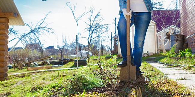 Essential Spring Garden Tasks: When and How to Start for a Thriving Yard