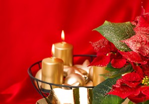 5 Must-Have Flowers to Elevate Your Christmas Decorations