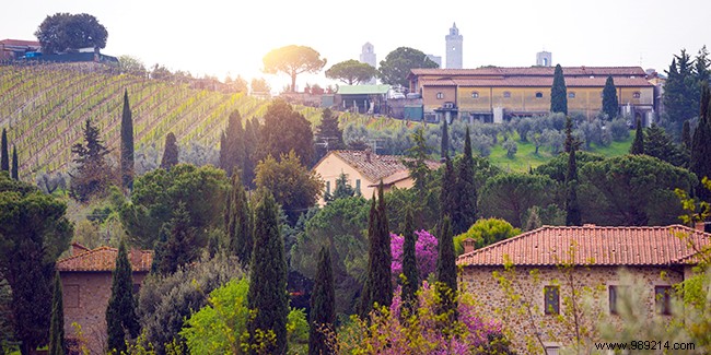 Ultimate Tuscany Motorhome Guide: 2-Week Itinerary, Parking Tips & Expert Advice