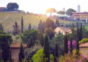 Ultimate Tuscany Motorhome Guide: 2-Week Itinerary, Parking Tips & Expert Advice
