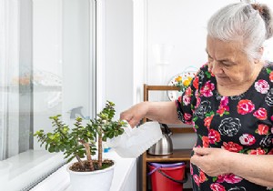 8 Expert Tips to Keep Indoor Plants Thriving Through Winter