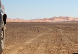 Winter Motorhome Adventure in Morocco: Expert Tips and Scenic Itinerary