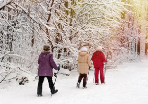 12 Exciting Non-Skiing Winter Activities for Mountain Adventures