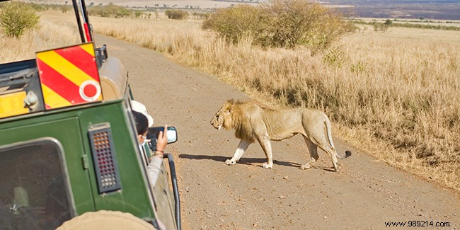 Safest Countries to Visit in Africa: Expert Guide to Secure Travel Destinations