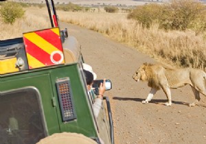 Safest Countries to Visit in Africa: Expert Guide to Secure Travel Destinations