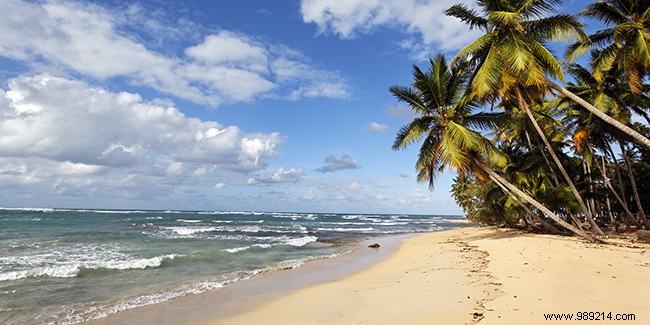 Guadeloupe vs. Martinique: Which Caribbean Island Fits Your Perfect Vacation?