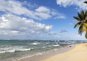 Guadeloupe vs. Martinique: Which Caribbean Island Fits Your Perfect Vacation?