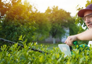 Gardener Costs for Hedge Trimming and Heavy Garden Work: Expert Pricing Guide
