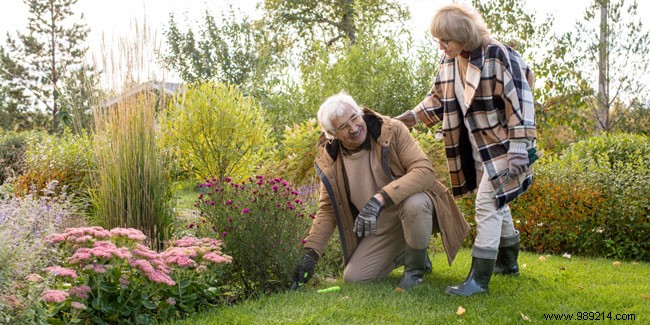 Weed Your Garden Without Back Pain: Proven Tips from Gardening Experts