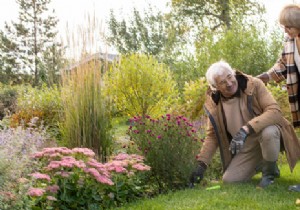 Weed Your Garden Without Back Pain: Proven Tips from Gardening Experts