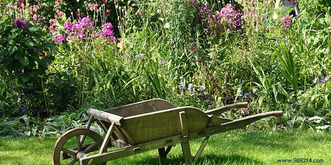 Lost Strength or Motivation for Gardening? Proven Solutions to Keep Your Garden Thriving