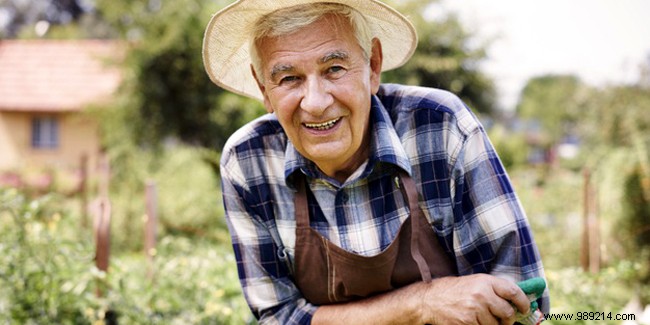 Pain-Free Gardening for Seniors: Expert Tips and Ergonomic Tools