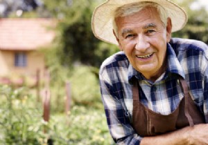Pain-Free Gardening for Seniors: Expert Tips and Ergonomic Tools