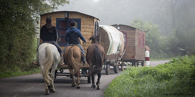 Discover Dordogne by Horse-Drawn Caravan: Itineraries, Expert Tips, and Planning Guide