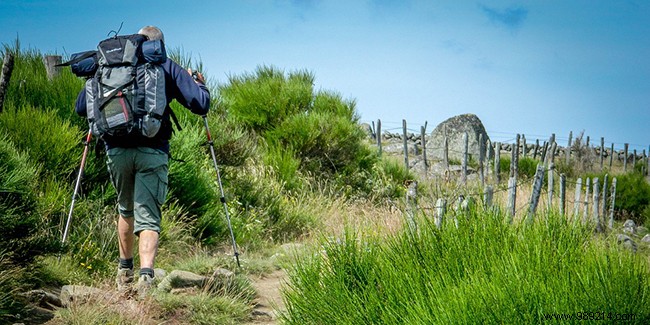 Camino de Santiago After Retirement: Why Walk It and Essential Tips for Seniors