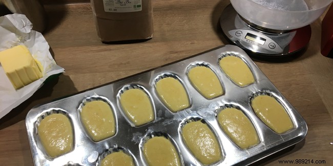 Authentic Homemade Madeleines: Grandma s Time-Tested Recipe