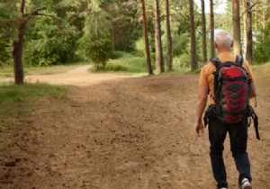 Popular Hobbies for Seniors Over 50: From Active Pursuits to Relaxed Pastimes