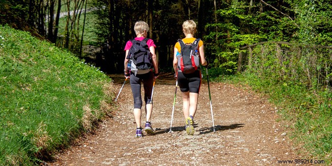 Nordic Walking: A Proven, Accessible Workout for Better Health and Fitness