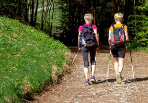 Nordic Walking: A Proven, Accessible Workout for Better Health and Fitness
