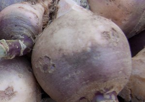 Hearty Rutabaga Gratin with Chorizo: A Cozy, Flavor-Packed Recipe