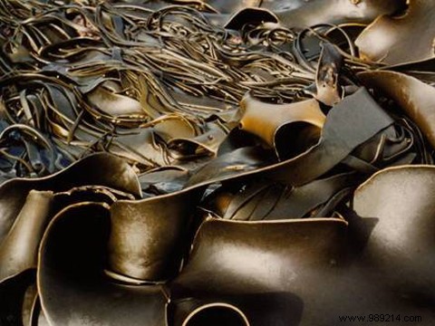 Unlocking Seaweed s Health Benefits: Nutrition, Safety, and Proven Advantages