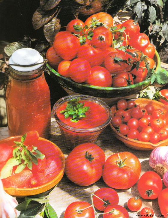 Authentic Provençal Pistou and Tomato Coulis: Traditional Recipes from Southern France