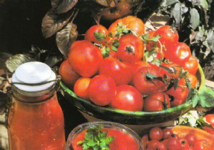 Authentic Provençal Pistou and Tomato Coulis: Traditional Recipes from Southern France