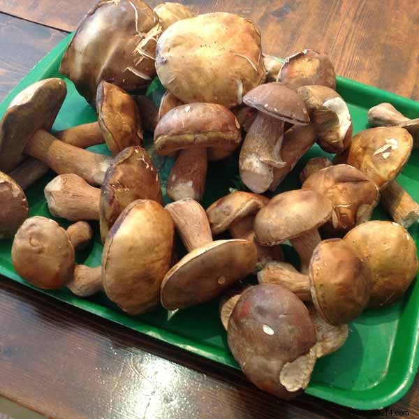 Gourmet Partridge Stuffed with Duck Foie Gras and Truffles: Roasted Vegetables and Ceps Ragout Recipe