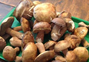 Gourmet Partridge Stuffed with Duck Foie Gras and Truffles: Roasted Vegetables and Ceps Ragout Recipe