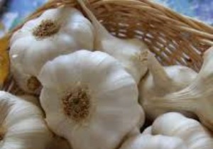 Lisettes in Escabèche: Authentic Recipe with Saint-Clar White Garlic and Espelette Pepper