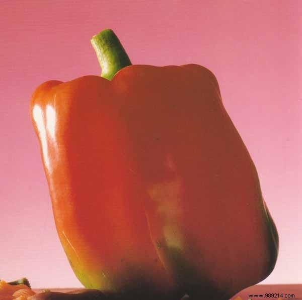 Tri-Color Bell Pepper Terrine with Creamy Brousse