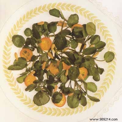 Refreshing Watercress Salad with Golden Kumquats and Toasted Pine Nuts