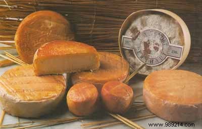 Oven-Roasted Charlotte Potatoes Au Gratin with Époisses Cheese – Expert Recipe