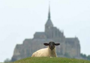 Stuffed Salt Marsh Lamb Shoulder with Fine Herbs: Authentic Normandy Recipe