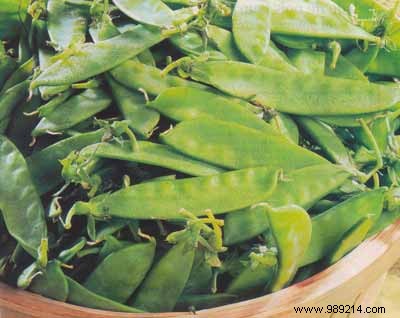 Garden-Fresh Vegetable Tartlets with Parmesan